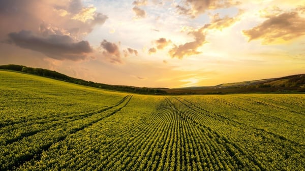 Farmsure Blends Traditional Underwriting with Digital Innovation 50% increase in GWP within the first eight months live