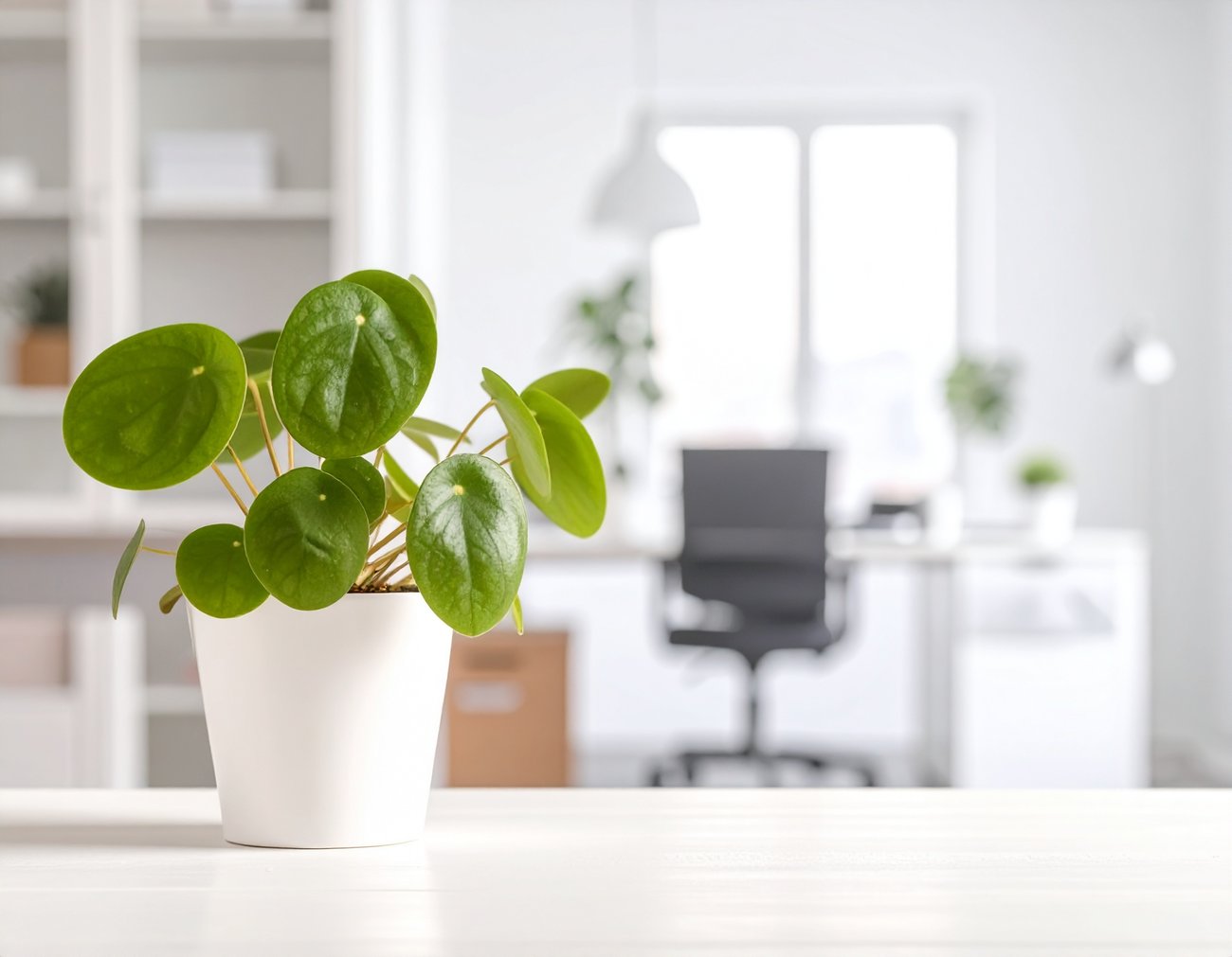 Mutuals: The Original Modern – How Digital Transformation Can Strengthen Member Communities