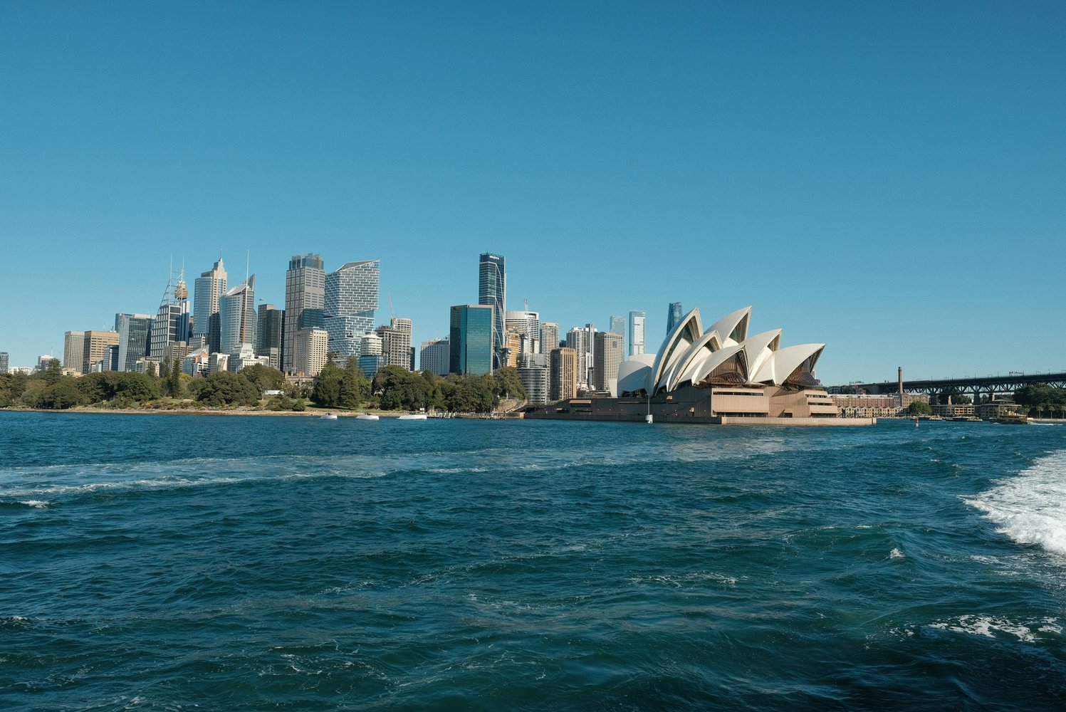 dominic-kurniawan-suryaputra-oXkNxhRbPIg-unsplash