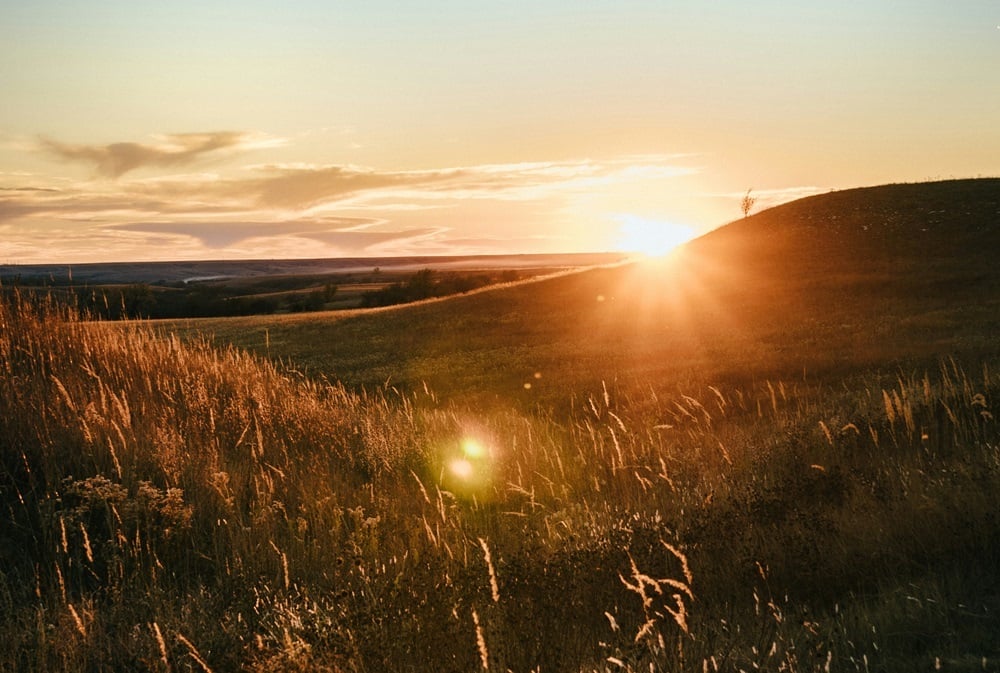 matt-phillips-n61b2HdZtAM-unsplash