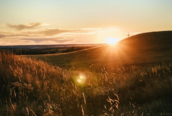 Green Shield Risk Solutions | Closing the Insurance Gap in Wildfire-Prone Areas