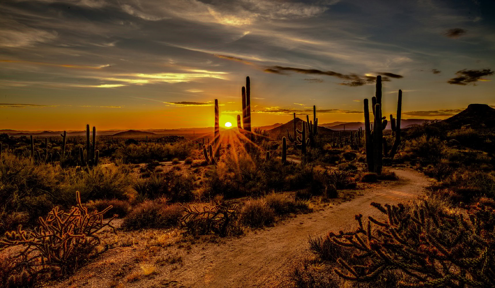 Scottsdale Arizona Sunset